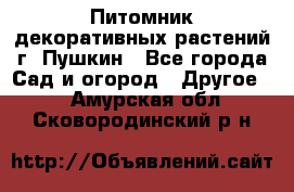 Питомник декоративных растений г. Пушкин - Все города Сад и огород » Другое   . Амурская обл.,Сковородинский р-н